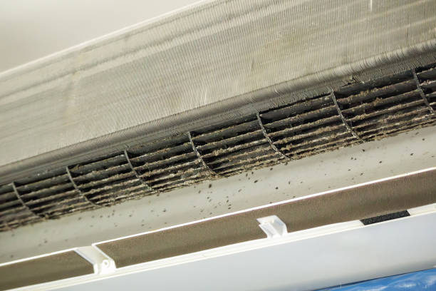 Best HVAC System Cleaning  in Greenport West, NY